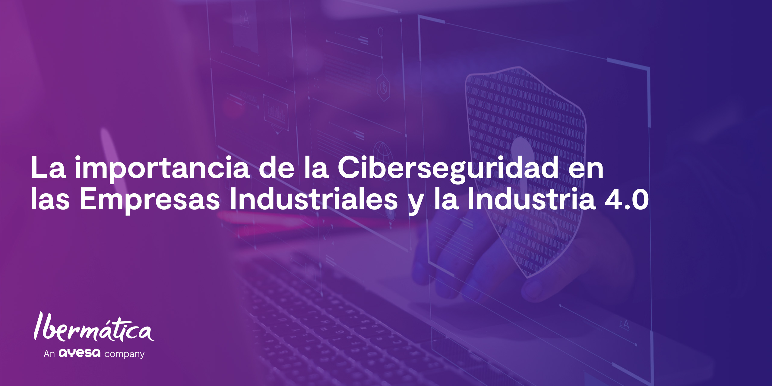 importancia de la ciberseguridad