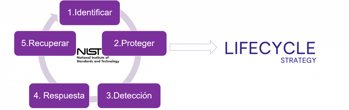 importancia de la ciberseguridad