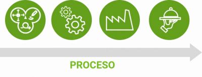 proceso de integración